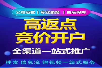 百度竞价广告投放策略案例