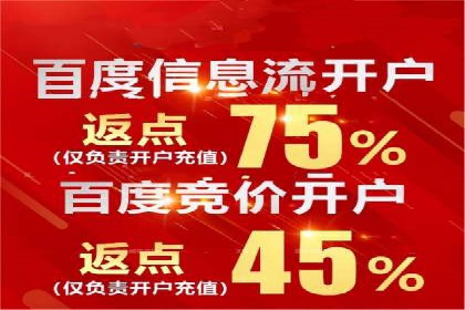 百度竞价推广托管的成功案例：从零到一的突破